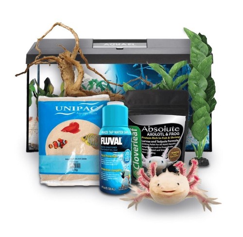 Swell reptiles axolotl - swell,