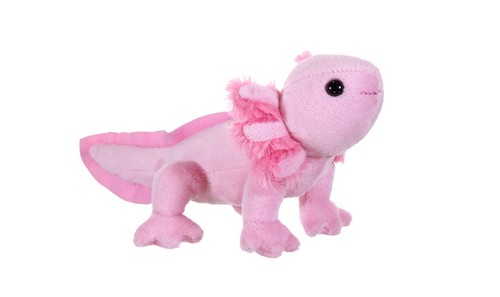 New axolotl wild republic - wild,