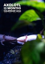 Axolotl 2026 Calendars (A3)