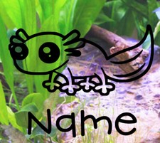 ** Axolotl Customised Vivarium