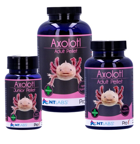 Labs pro axolotl junior - labs,