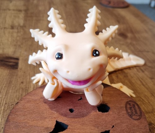 Axolotl articulated flexi - 10",