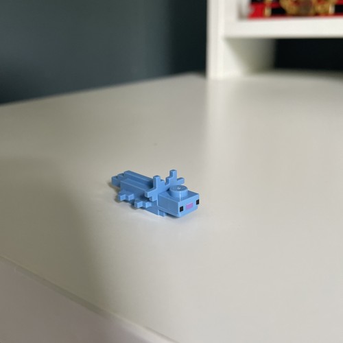 Axolotl medium blue magenta - axolotl,